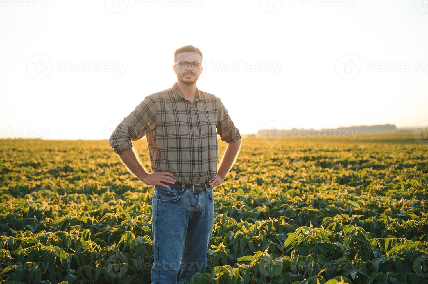 agricultor dentro soja Campos. crescimento, ar livre. foto