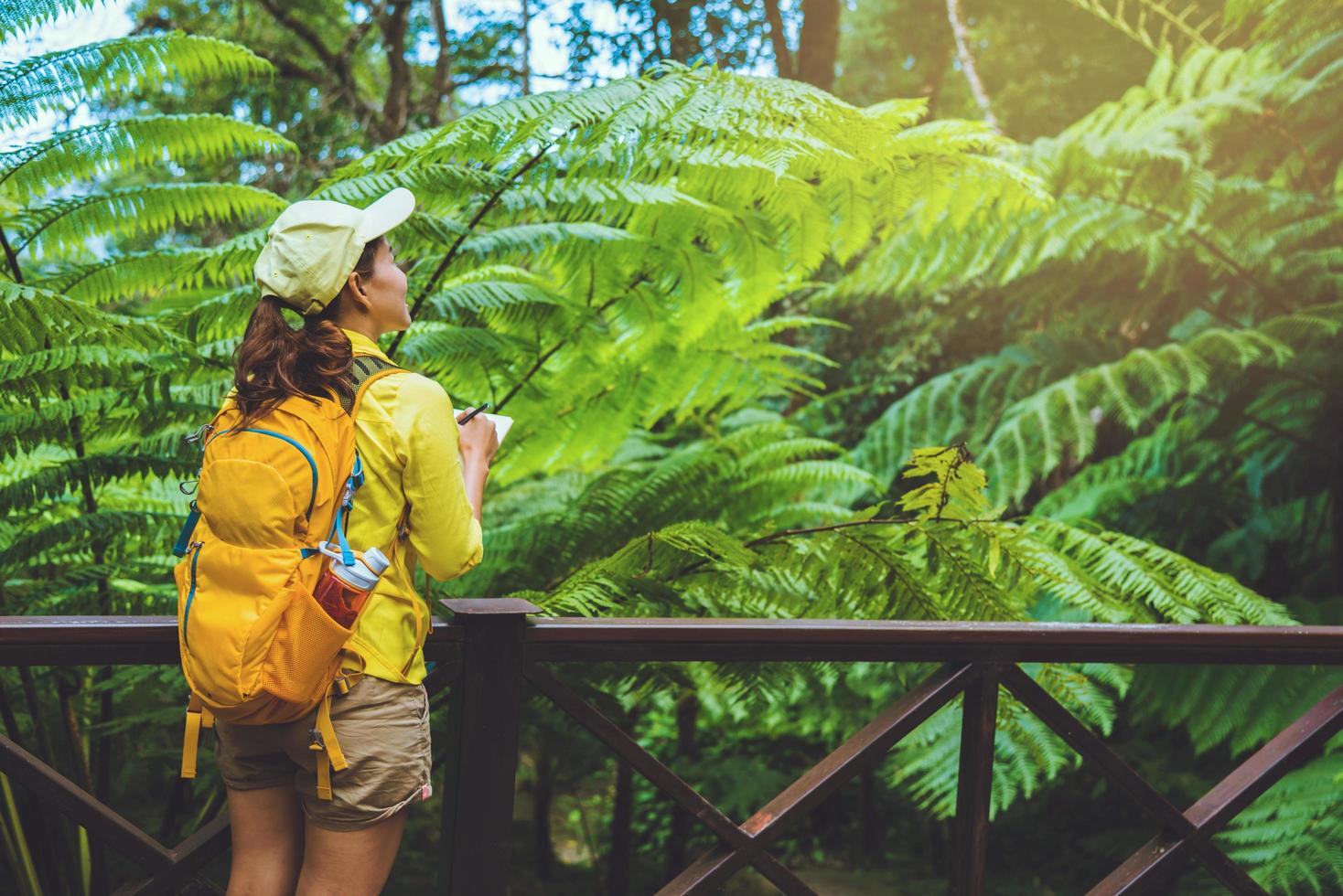 viajando para estudar a natureza na floresta de mulheres jovens. foto