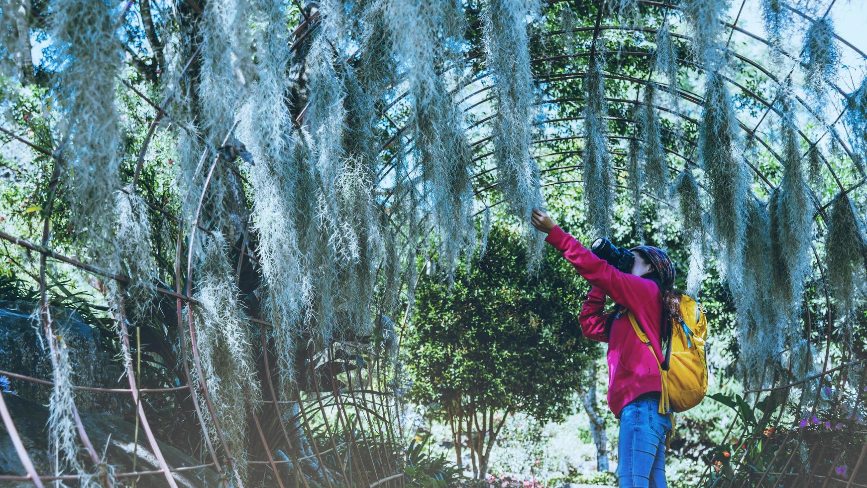 mulheres viajam fotografia flor da natureza no parque público. tirar fotos arco de árvore de musgo espanhol adequado como pano de fundo.