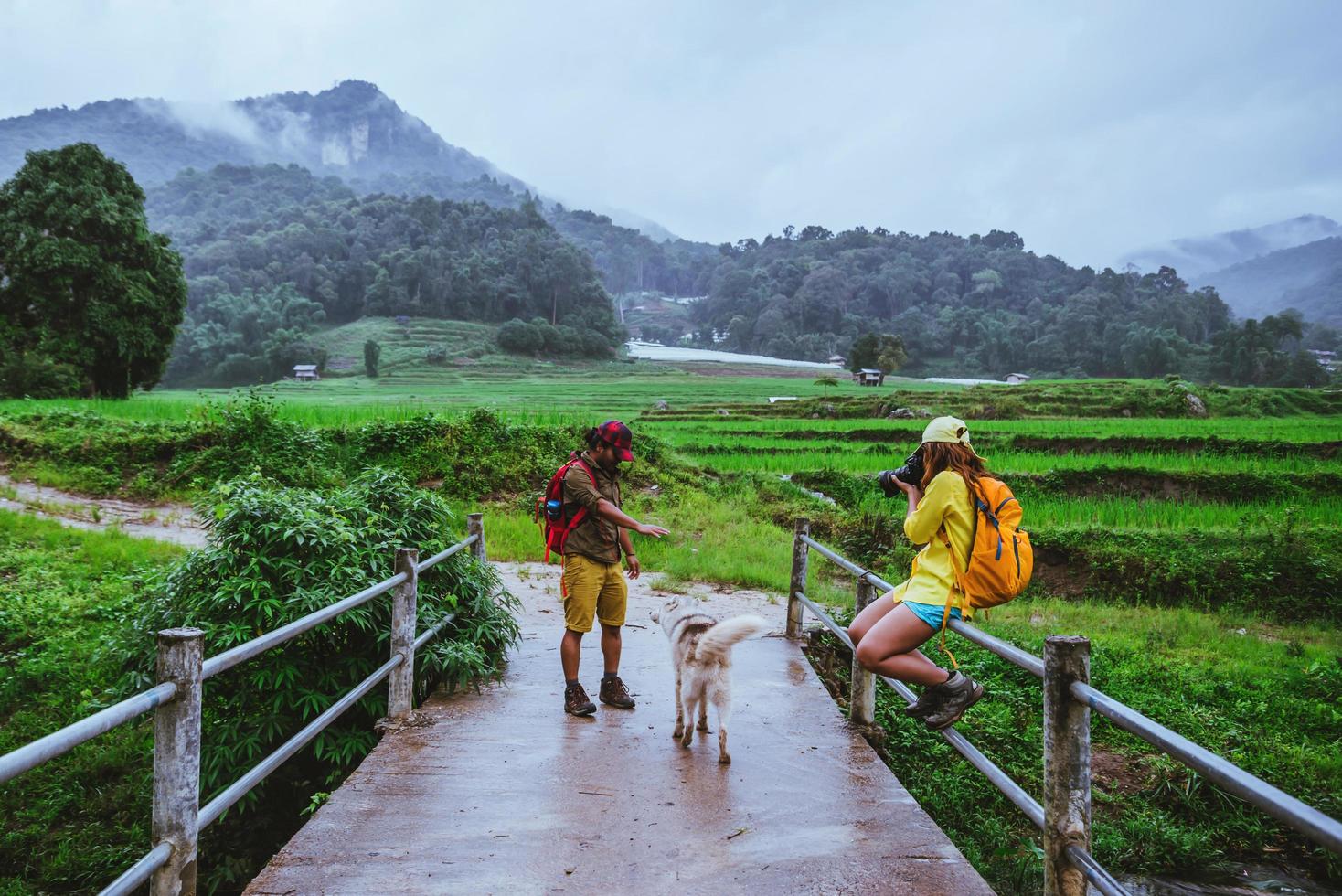 amante homem asiático mulheres asiáticas viajar pela natureza. caminhando uma foto no campo de arroz e pare, faça uma pausa e relaxe na ponte em ban mae klang luang na estação das chuvas.