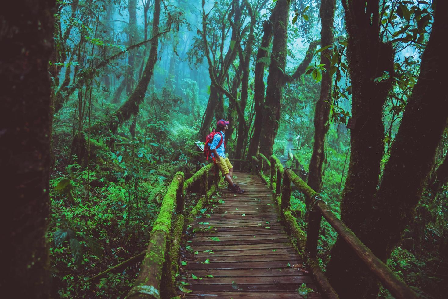 homem asiático viagens relaxam estudo da natureza na selva em chiangmai, na tailândia. foto