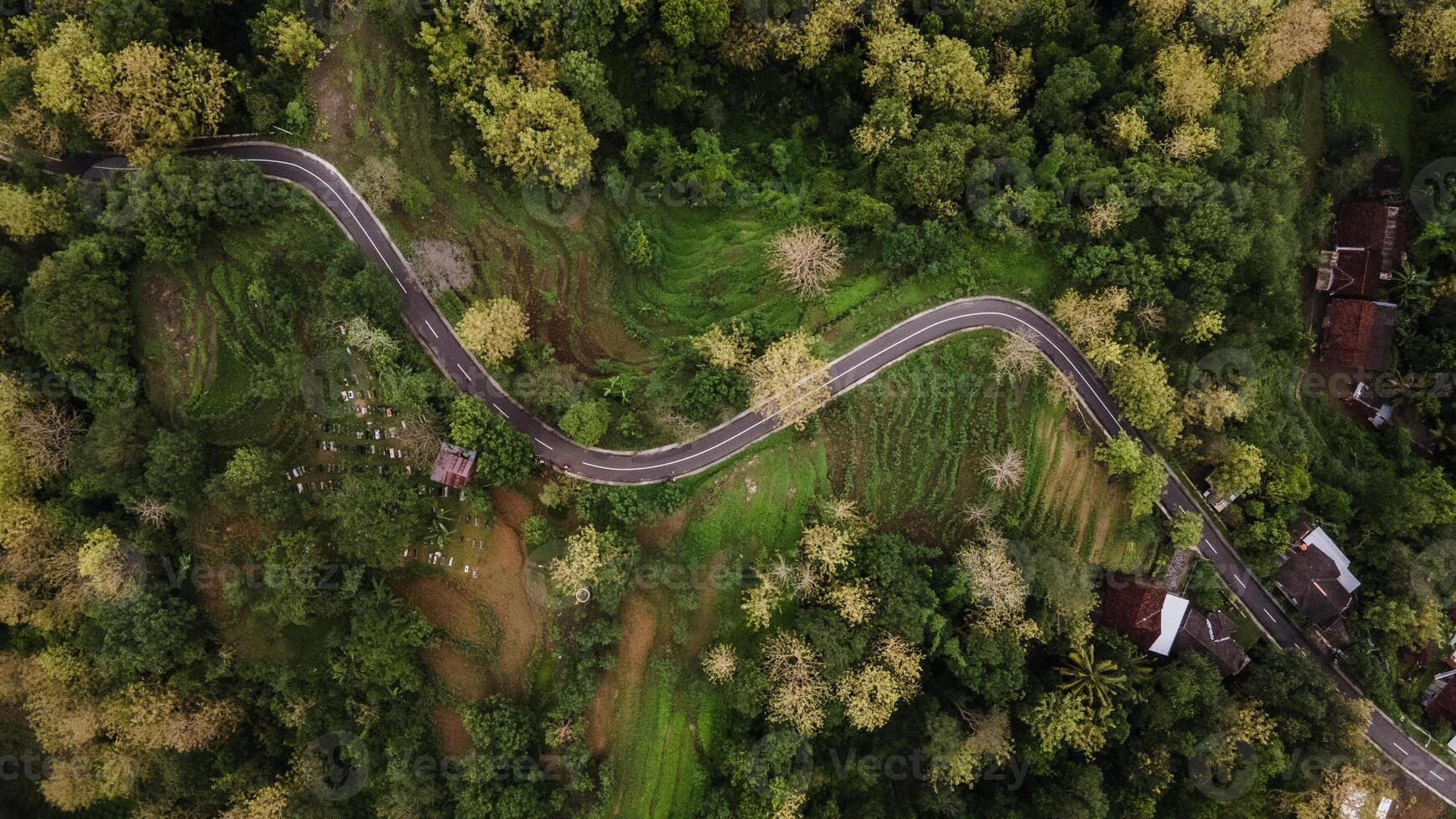 aéreo Visão do asfalto estrada enrolamento entre florestas e lindo verde arroz Campos. foto