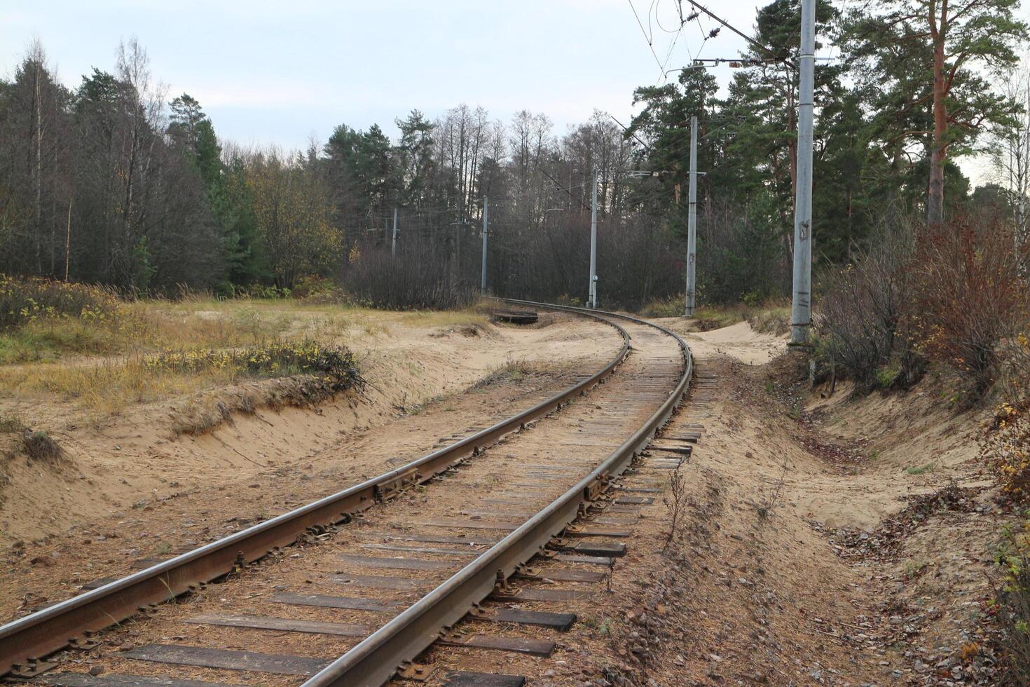 Ferrovia, a rastrear voltas, lá estão pilares de a estrada, floresta paisagem, cedo outono foto