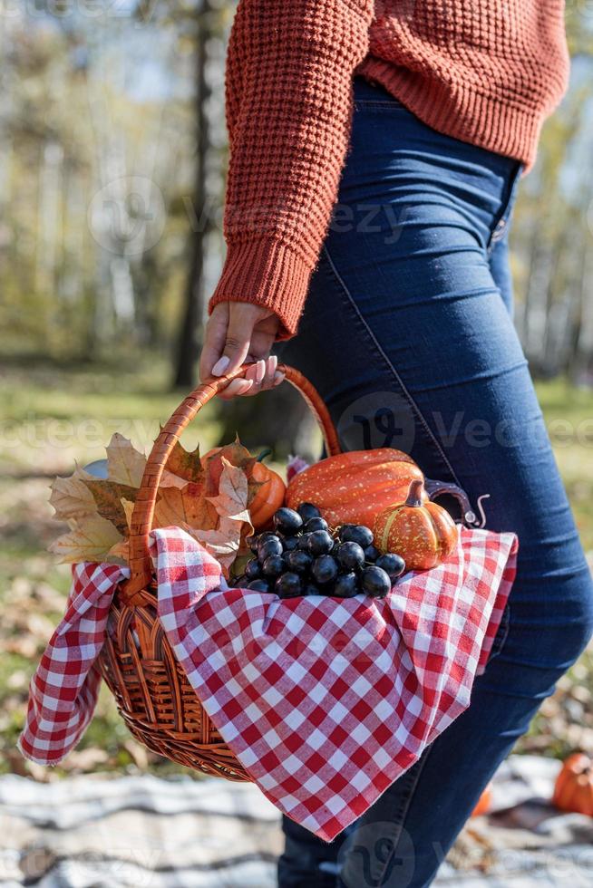 Mulher bonita em um suéter vermelho em um piquenique em uma floresta de outono foto