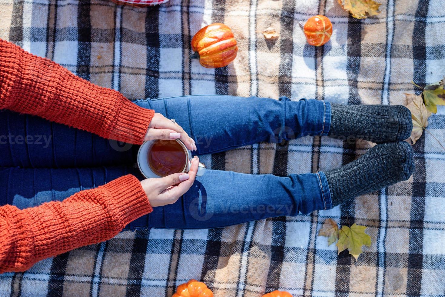 Mulher bonita em um suéter vermelho em um piquenique em uma floresta de outono foto