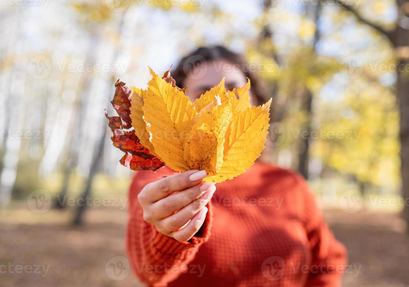 jovem feliz recolhendo folhas na floresta de outono foto