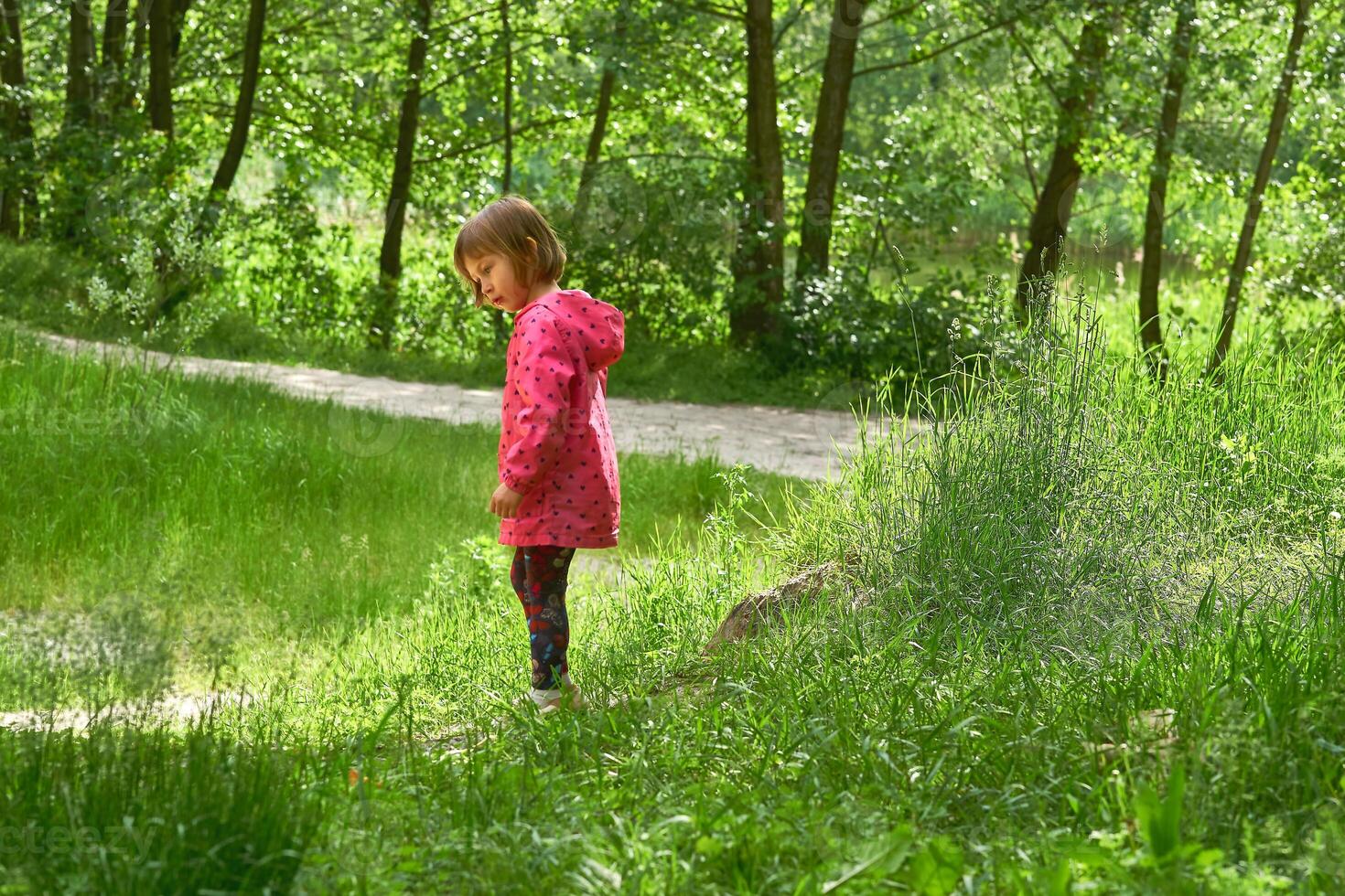 sério curioso fofa sonhando menina criança anda em entre a árvores dentro floresta parque foto