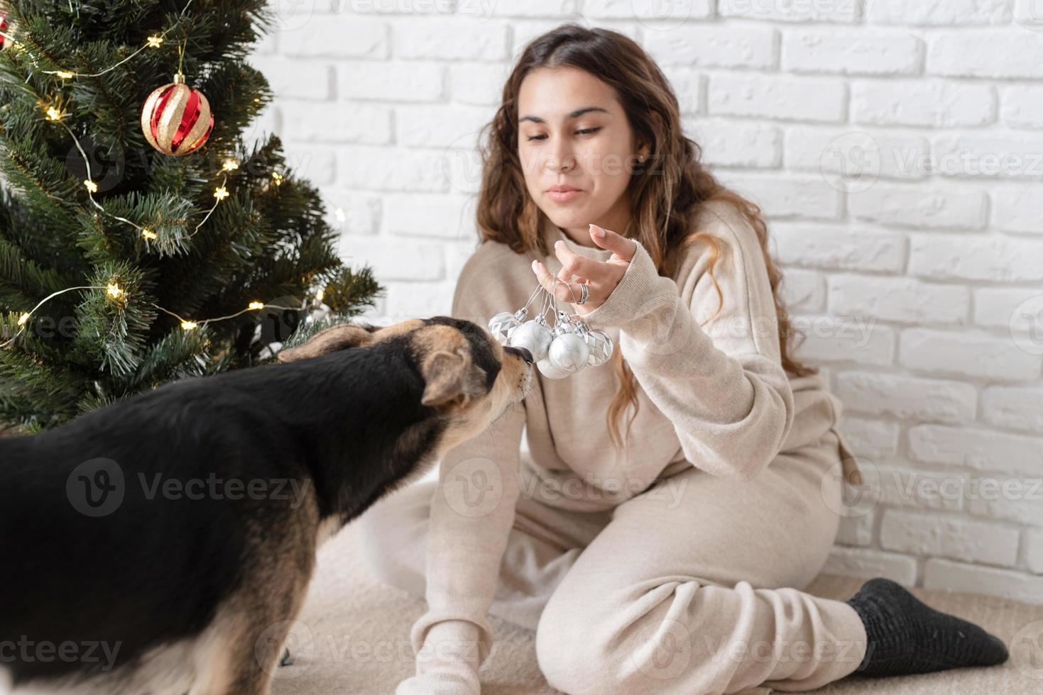 jovem mulher atraente decorando a árvore de natal e brincando com cachorros foto