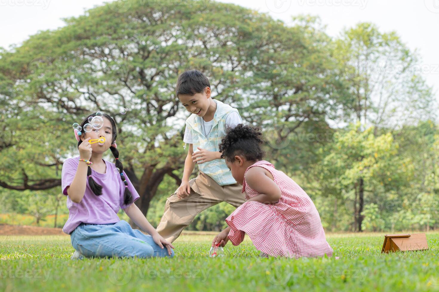 crianças sentado dentro a parque com sopro ar bolha, cercado de vegetação e natureza foto