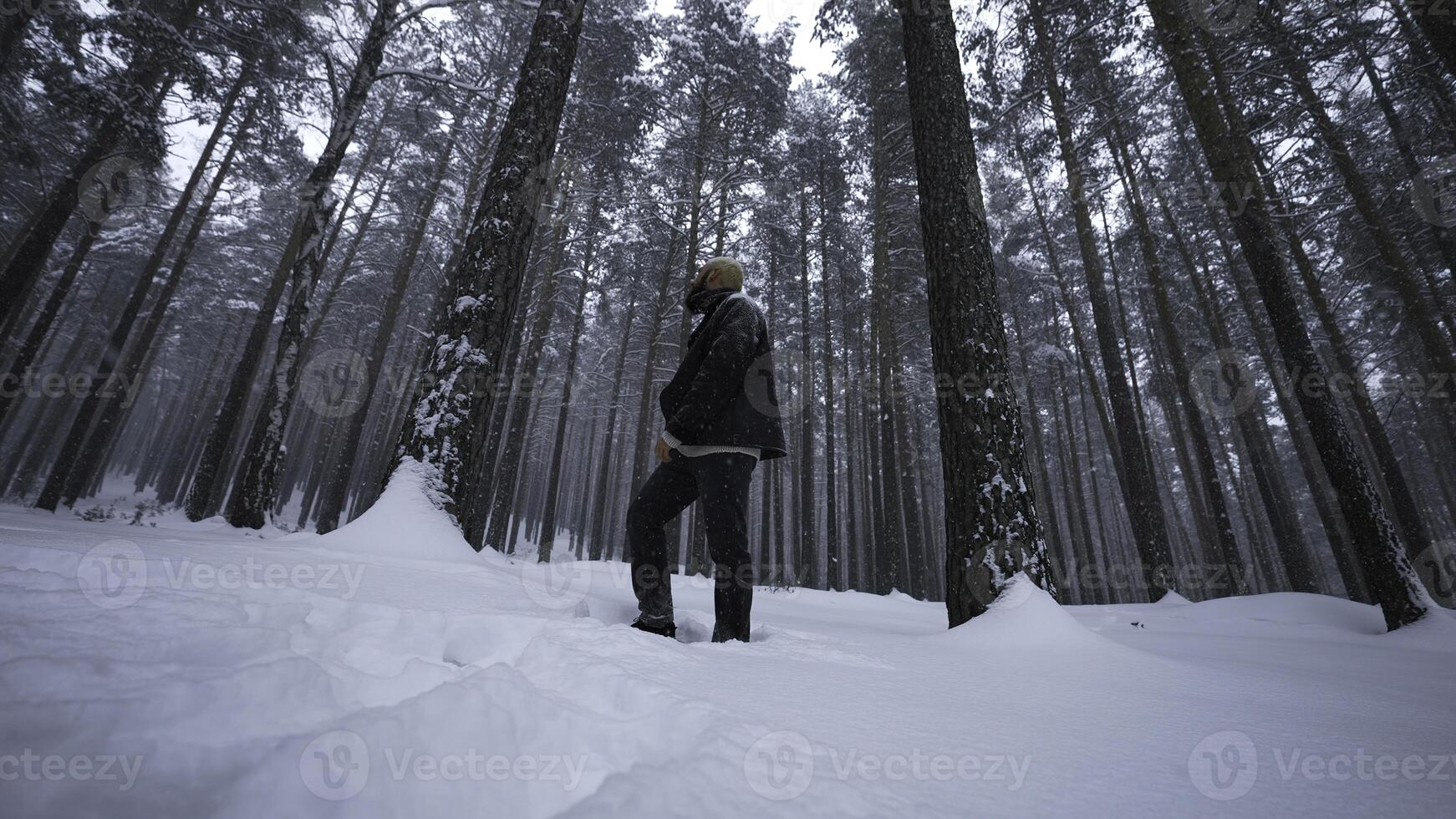 à moda homem poses dentro inverno floresta. meios de comunicação. tiroteio à moda homem dentro inverno floresta. moda tiroteio do homem dentro inverno floresta foto