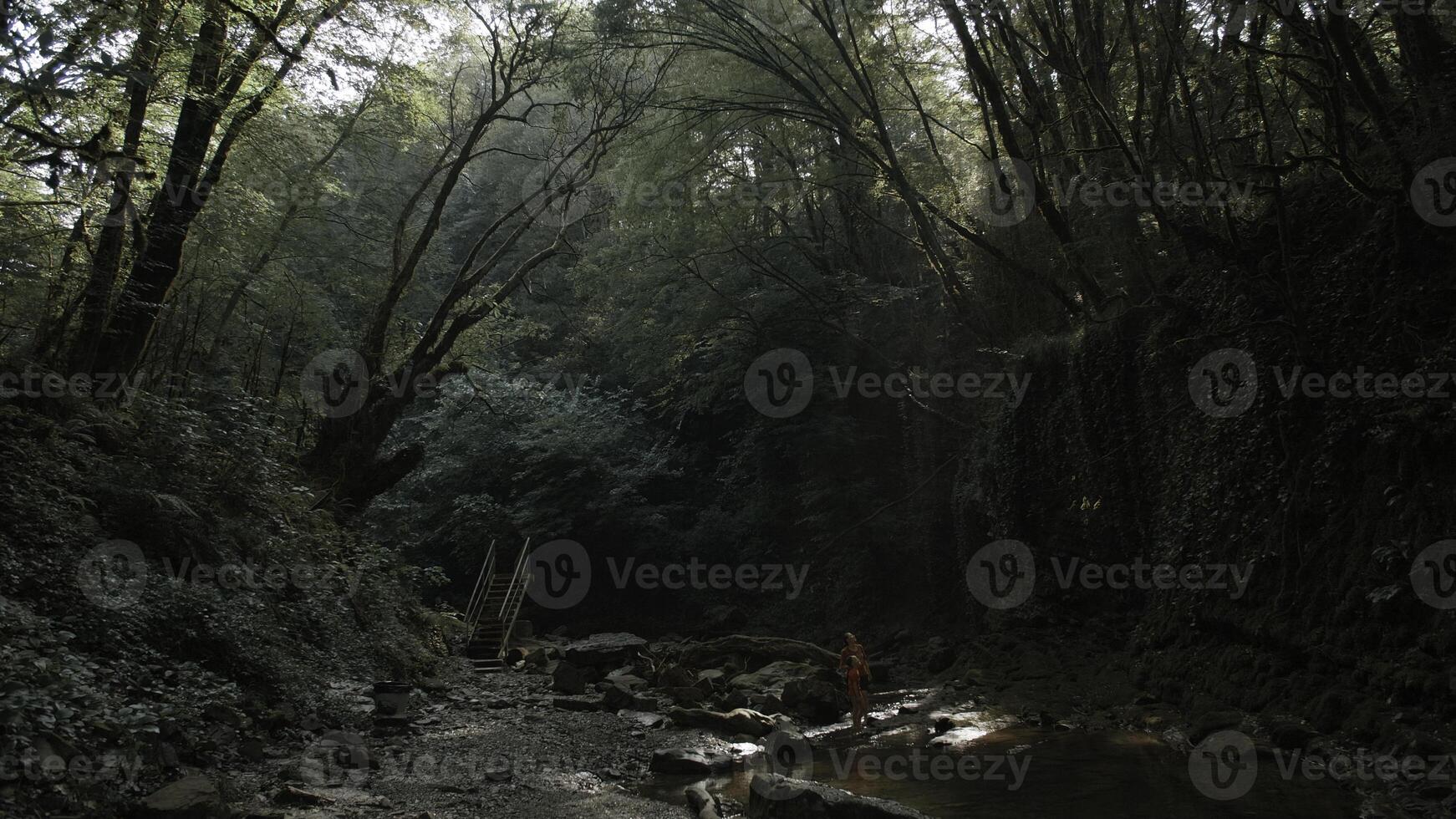 caminhantes mãe e Garoto em pé dentro selvas perto frio fluxo. criativo. exuberante verde floresta e rio. foto