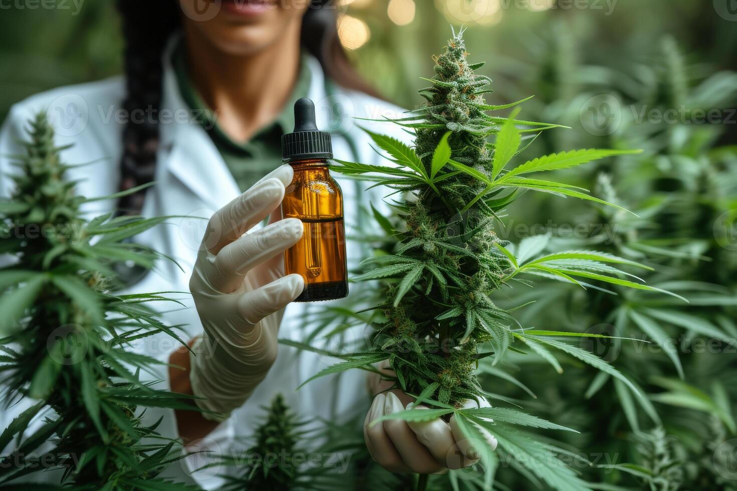 ai gerado cientista detém cheio frasco do rico em canabinóides líquido dentro dela com luva mão. uma médico segurando uma garrafa do cannabis óleo foto