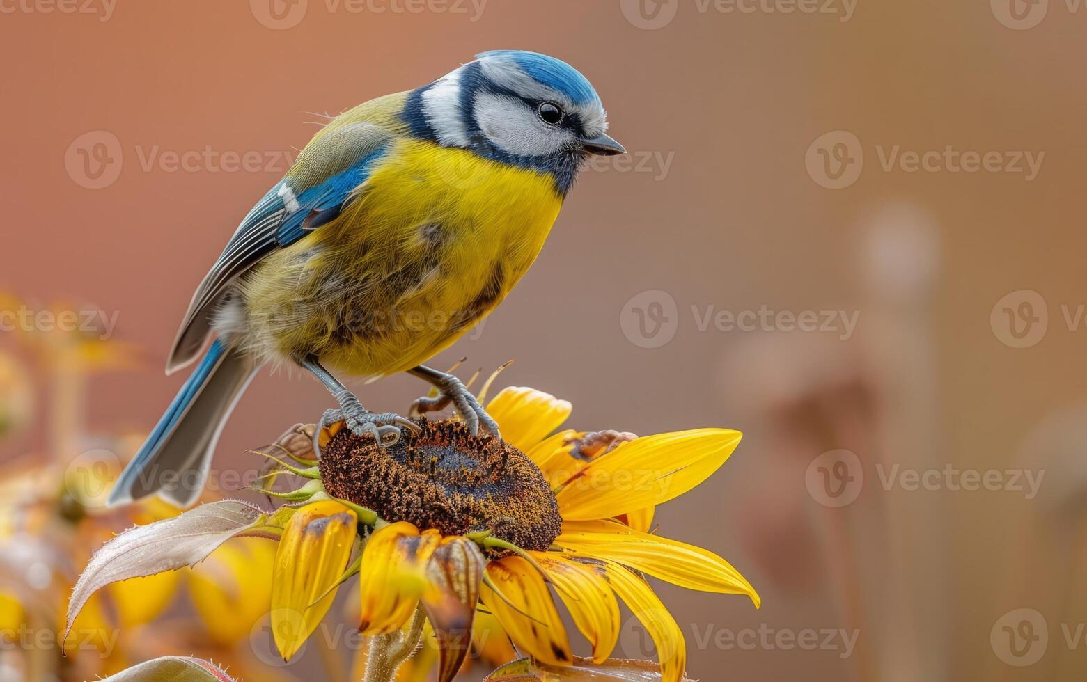 ai gerado isto artístico imagem características uma azul tit belas integrado para dentro uma esquentar, suave foco fundo com vívido girassóis foto