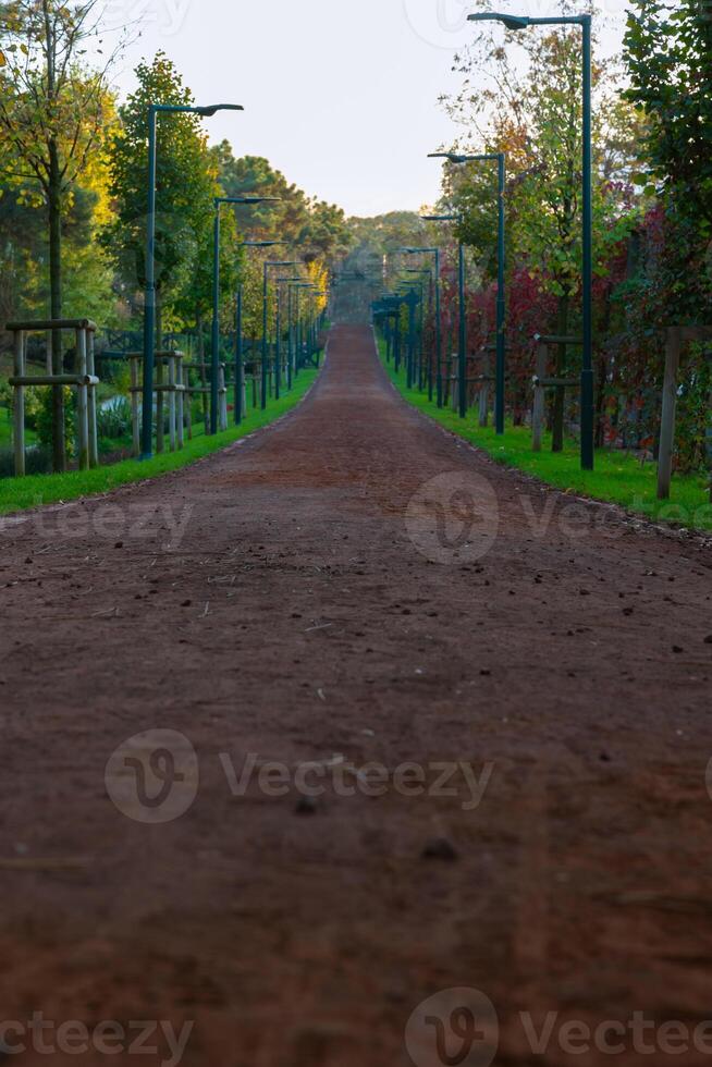 uma corrida trilha dentro uma parque com Postes de luz dentro vertical tomada. corrida ou corrida trilhas fundo foto. foto