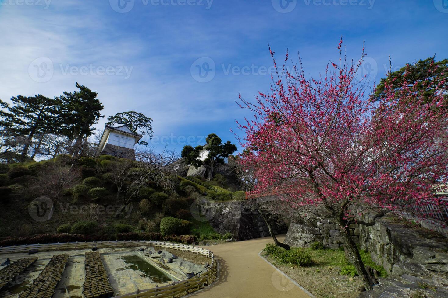 a portão do odawara castelo dentro Kanagawa Largo tiro foto