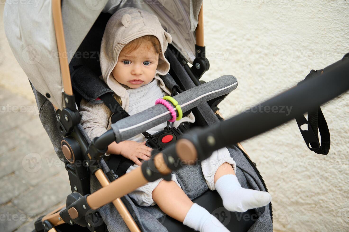 uma fofa bebê Garoto dentro a bebê carrinho de bebê, bebê carrinho de bebê, carrinho de passeio durante uma família andar ao ar livre foto