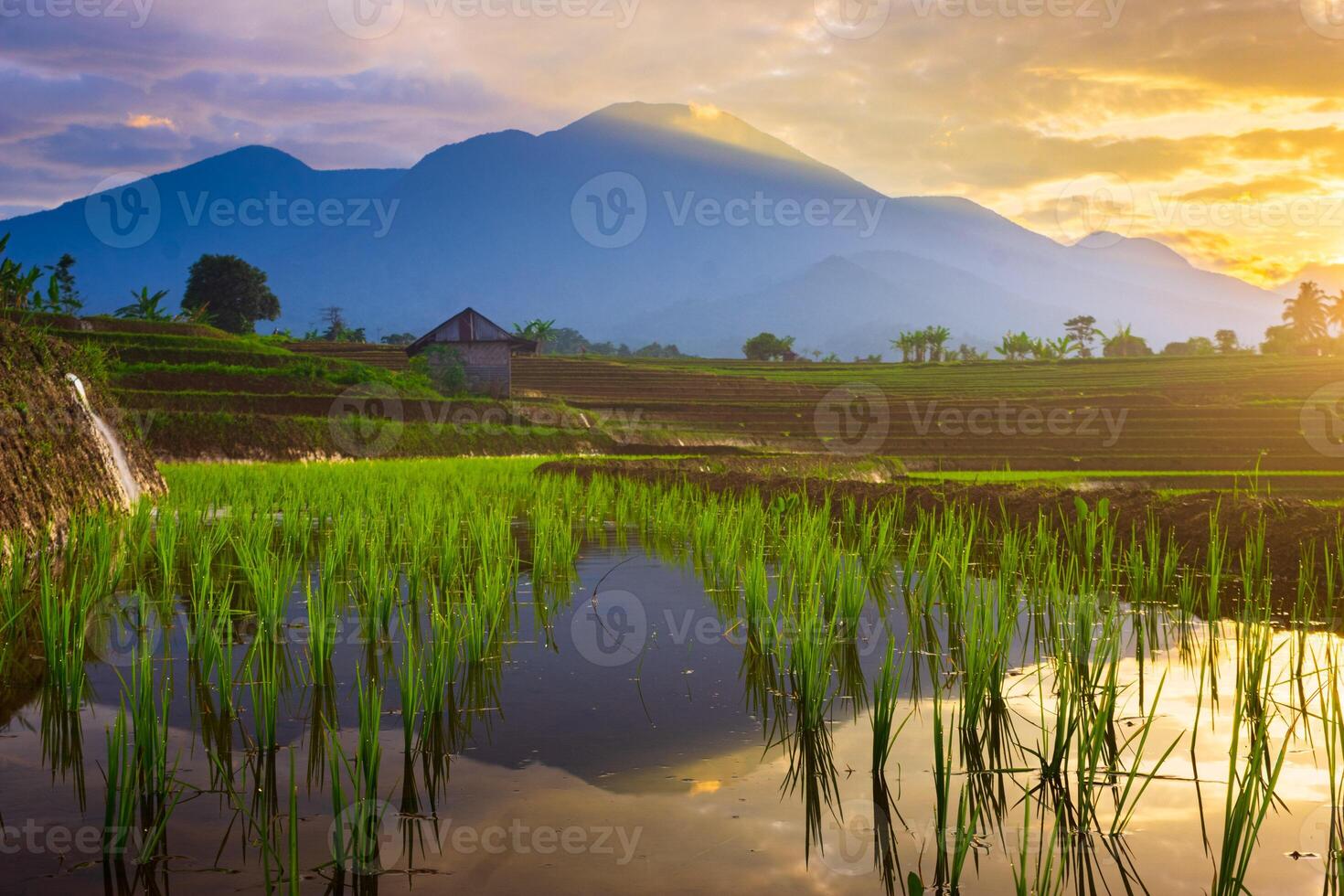 lindo manhã Visão a partir de Indonésia do montanhas e tropical floresta foto