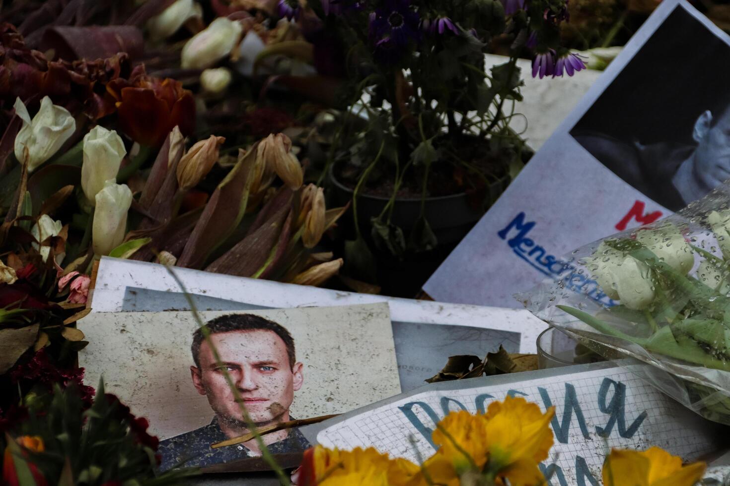 Berlim, Alemanha - marchar, 3º, 2024. grande quantidade do abaixa, fotos, velas em a terra às alexey navalny espontâneo memorial dentro frente do russo embaixada em a Presidente eleição dia dentro russo federação foto