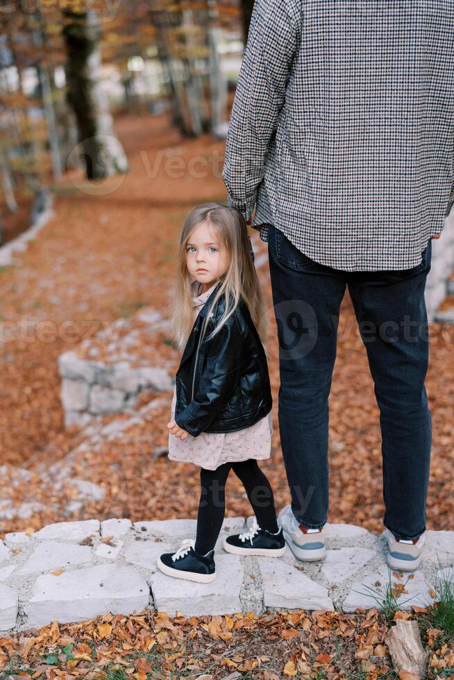 pequeno menina parece por aí enquanto em pé em uma pavimentou caminho dentro a outono floresta, segurando dela Papai mão. costas visualizar. cortada foto