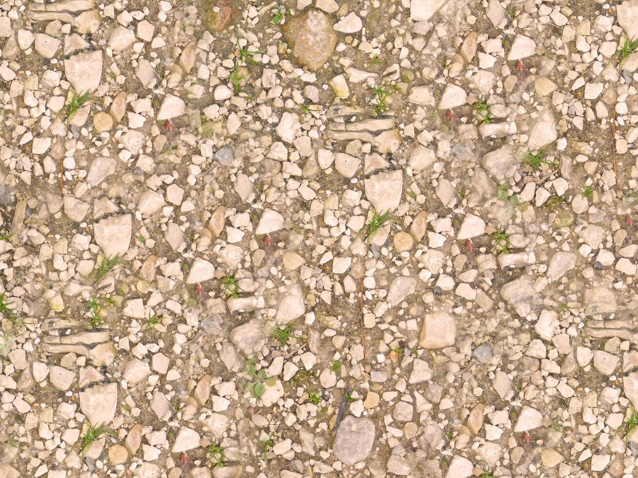textura de pedra no jardim foto