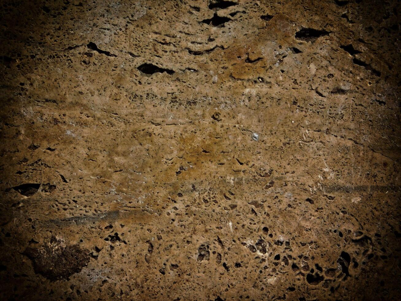textura de mármore escuro no jardim foto