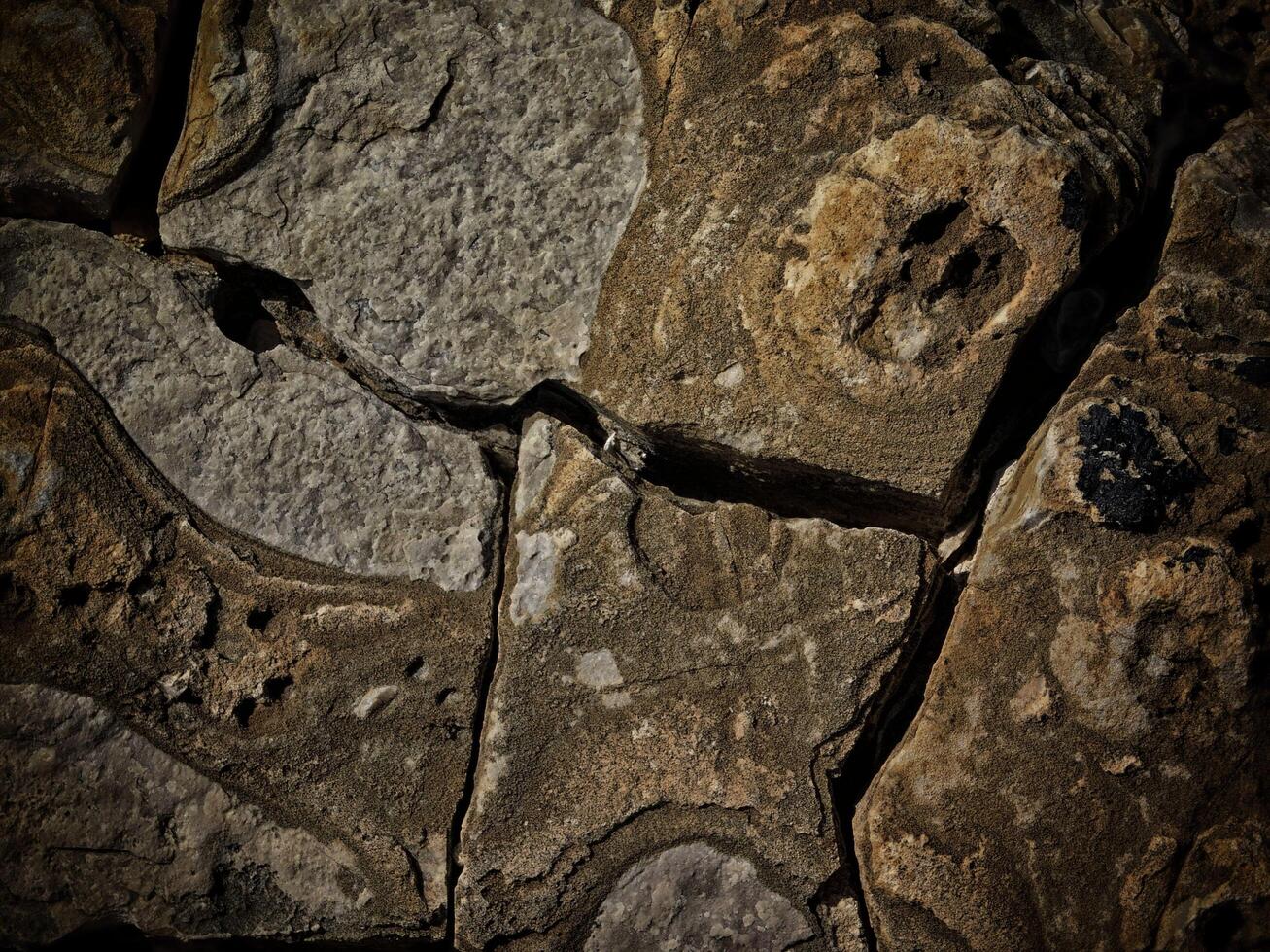 textura de pedra escura no jardim foto