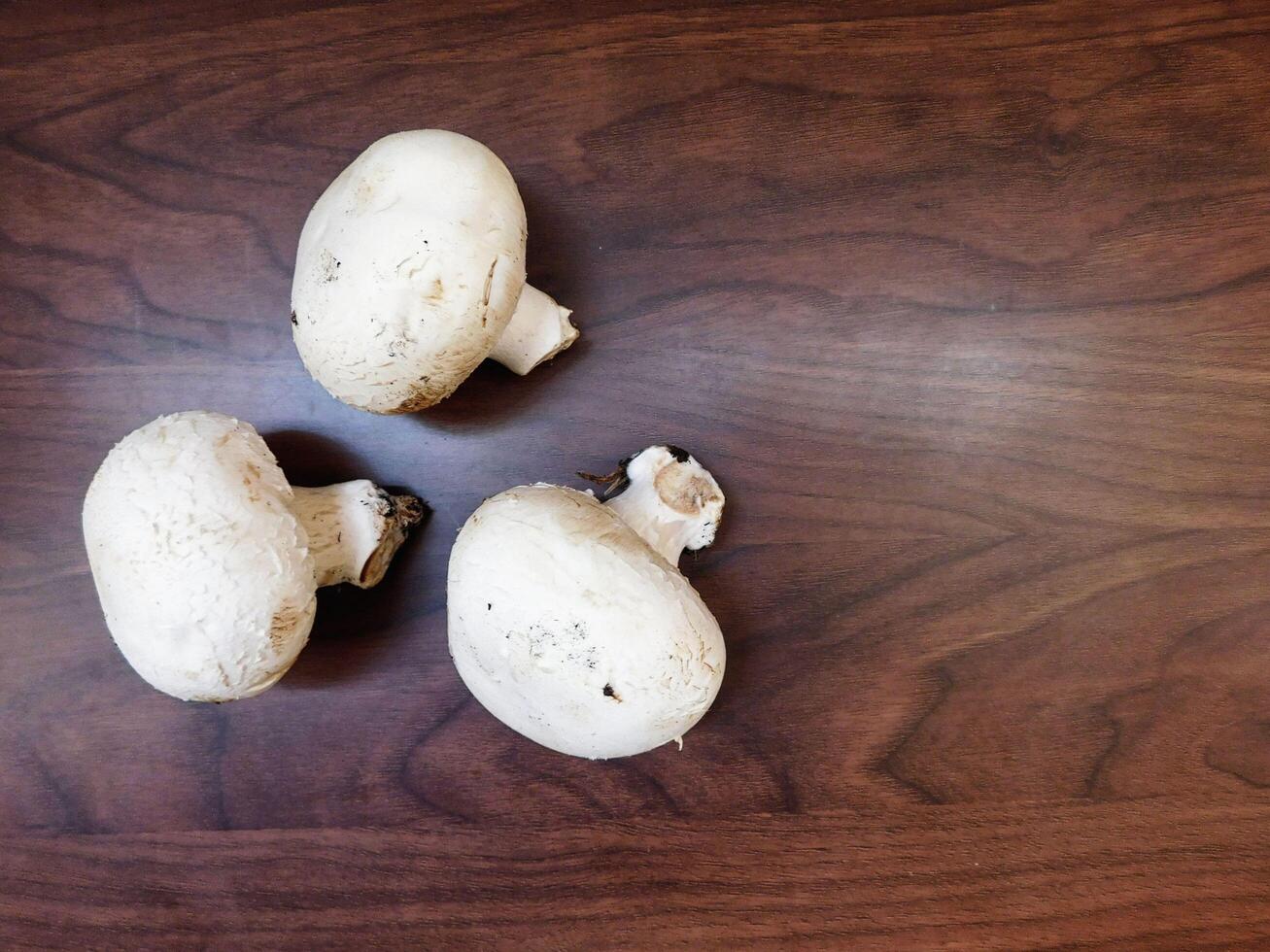 cogumelos na cozinha foto