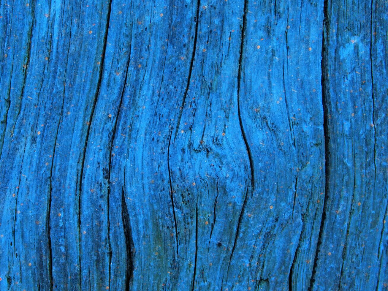 textura de madeira azul foto