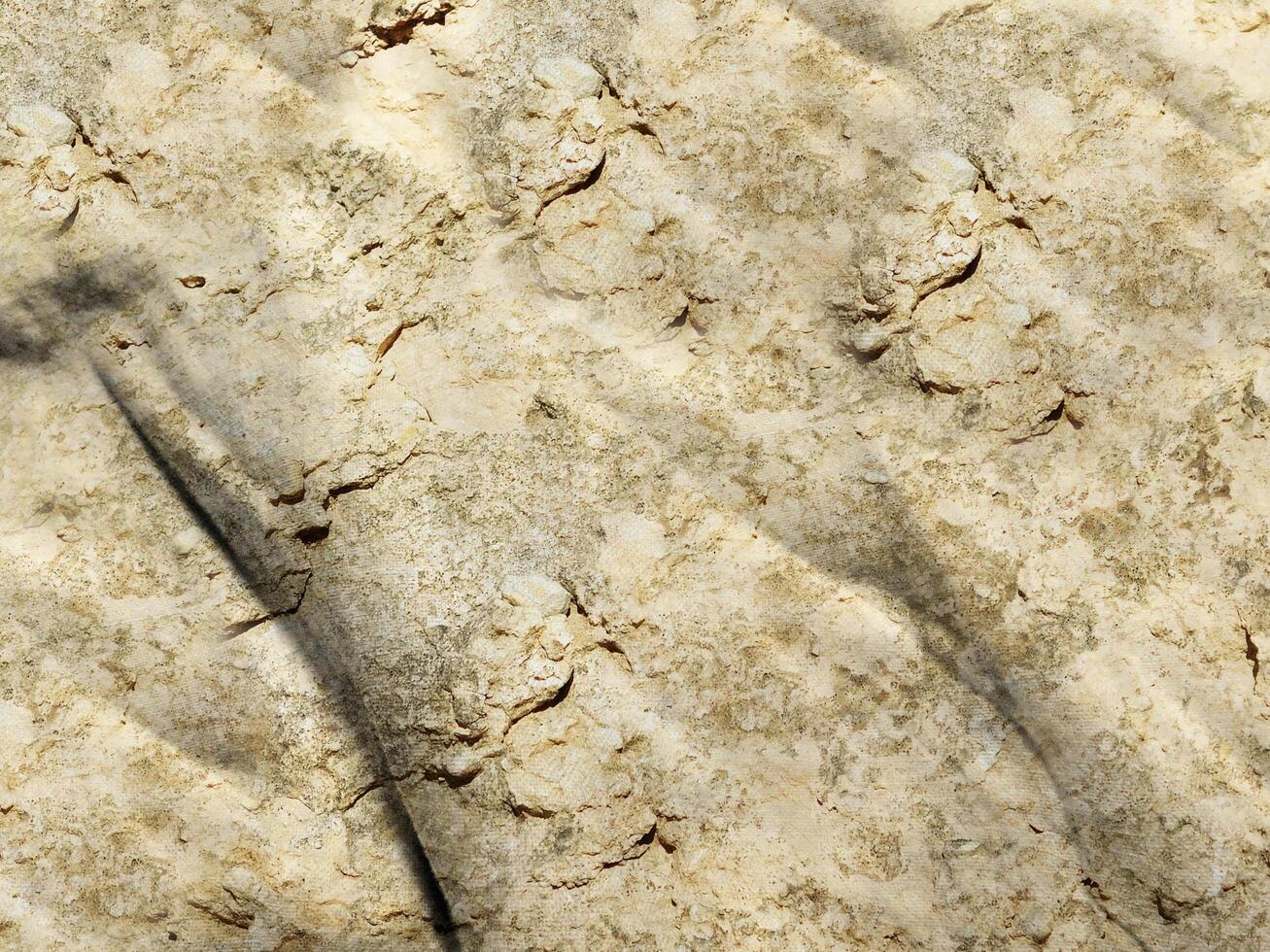 textura de mármore no jardim foto