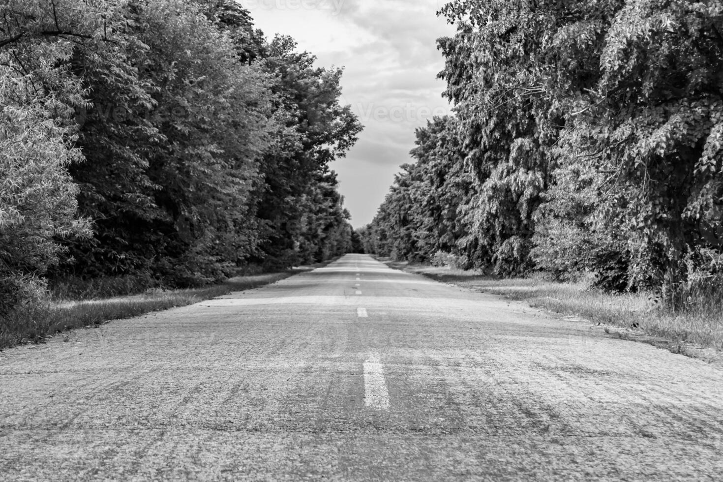 lindo esvaziar asfalto estrada dentro campo em luz fundo foto