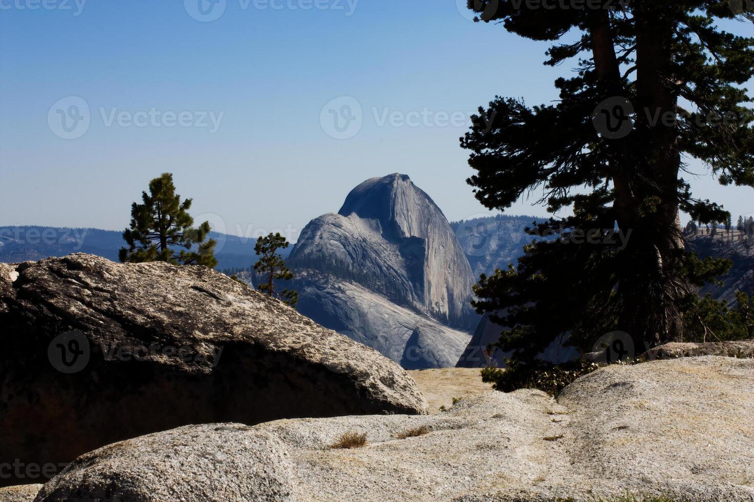 metade cúpula yosemite Califórnia contra azul céu com pinho árvores foto