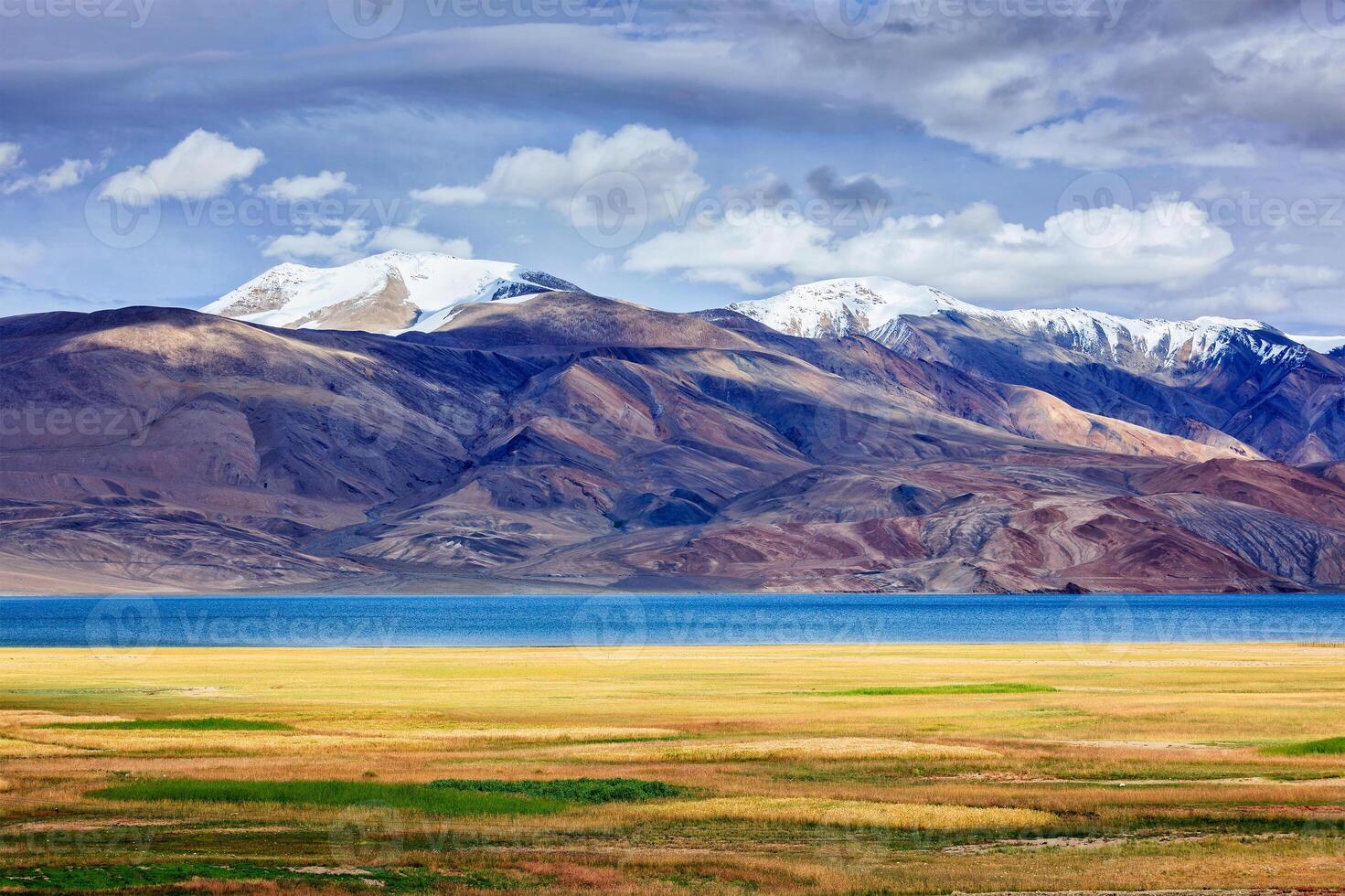 tso moriri lago, ladakh foto