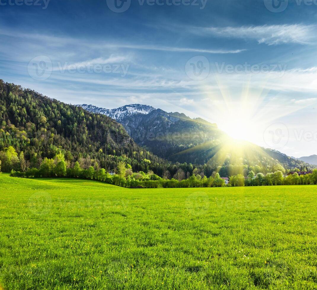 alpino Prado dentro baviera, Alemanha foto