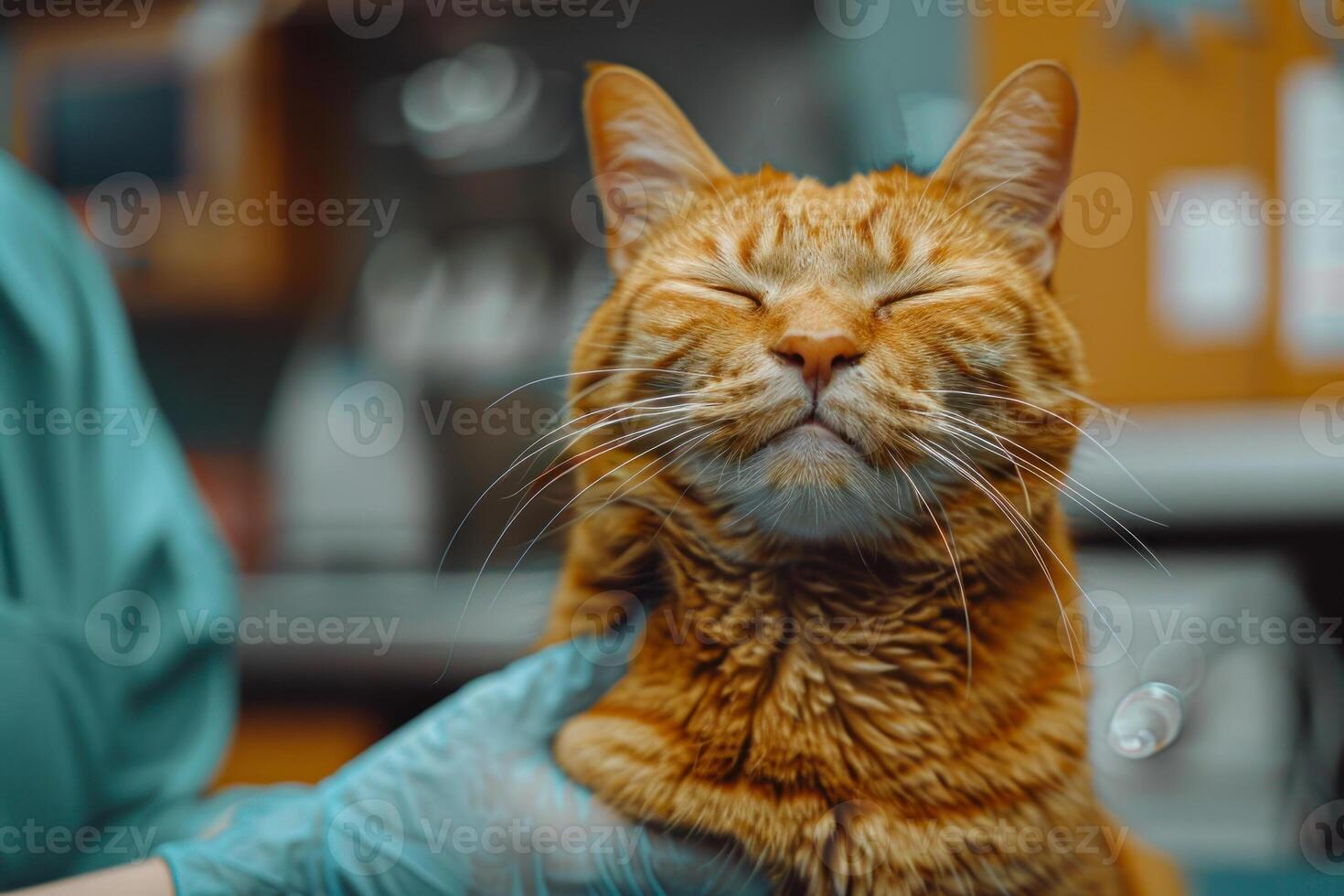 ai gerado satisfeito gengibre gato dentro veterinário Cuidado foto