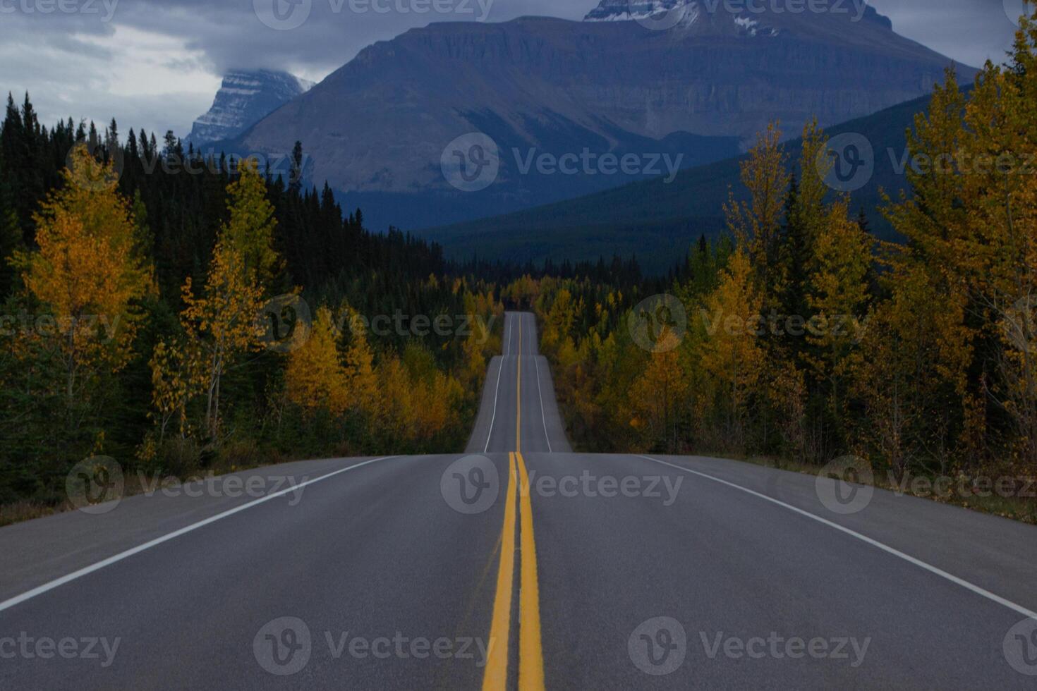 lindo em linha reta estrada dentro Canadá dentro outono. foto