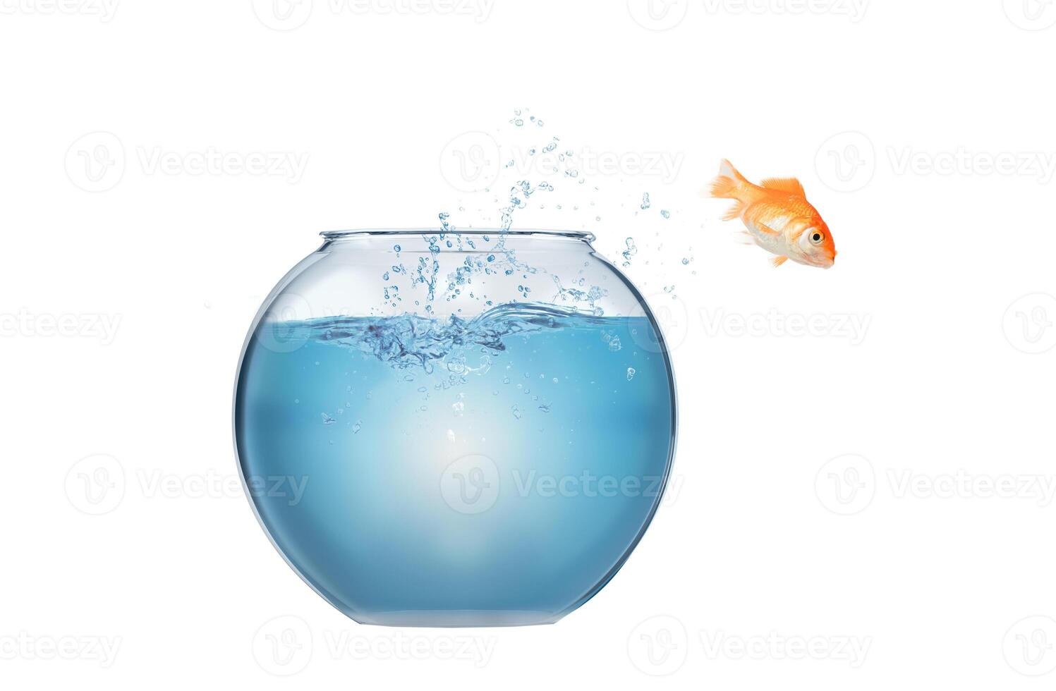 peixinho saltos Fora do a aquário para lançar em si para dentro a mar foto