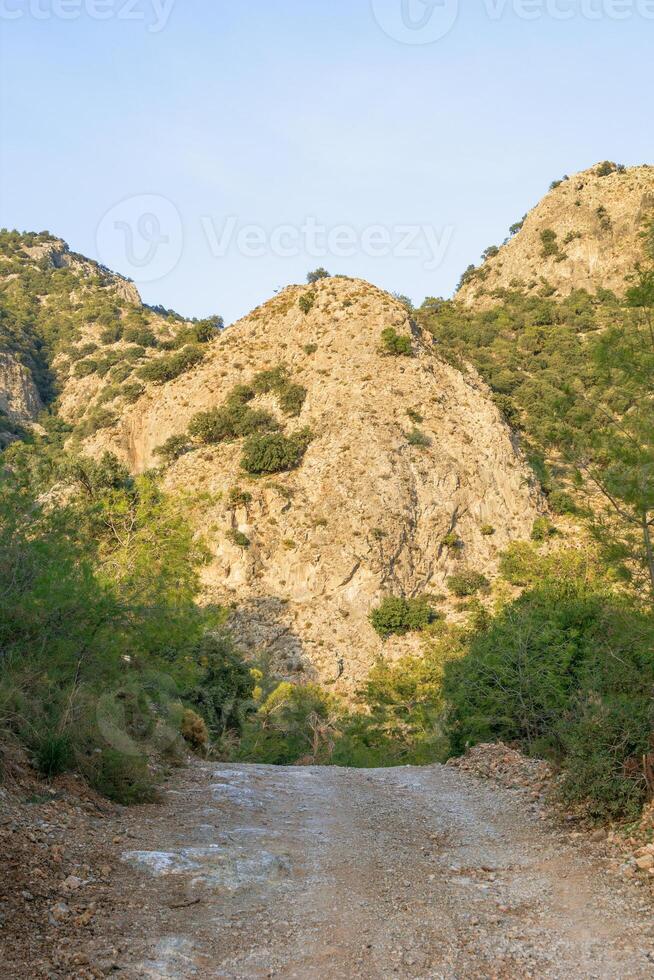 rural estrada através uma exuberante verde floresta com uma montanha dentro a distância. oludeniz, peru. foto