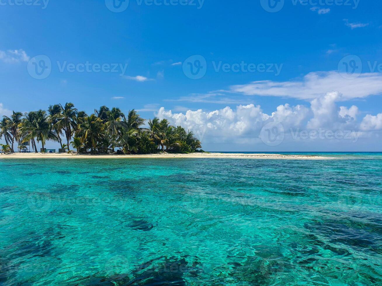 belize ilhotas - pequeno tropical ilha às barreira recife com paraíso de praia - conhecido para mergulhando, snorkeling e relaxante Férias - caribe mar, belize, central América foto
