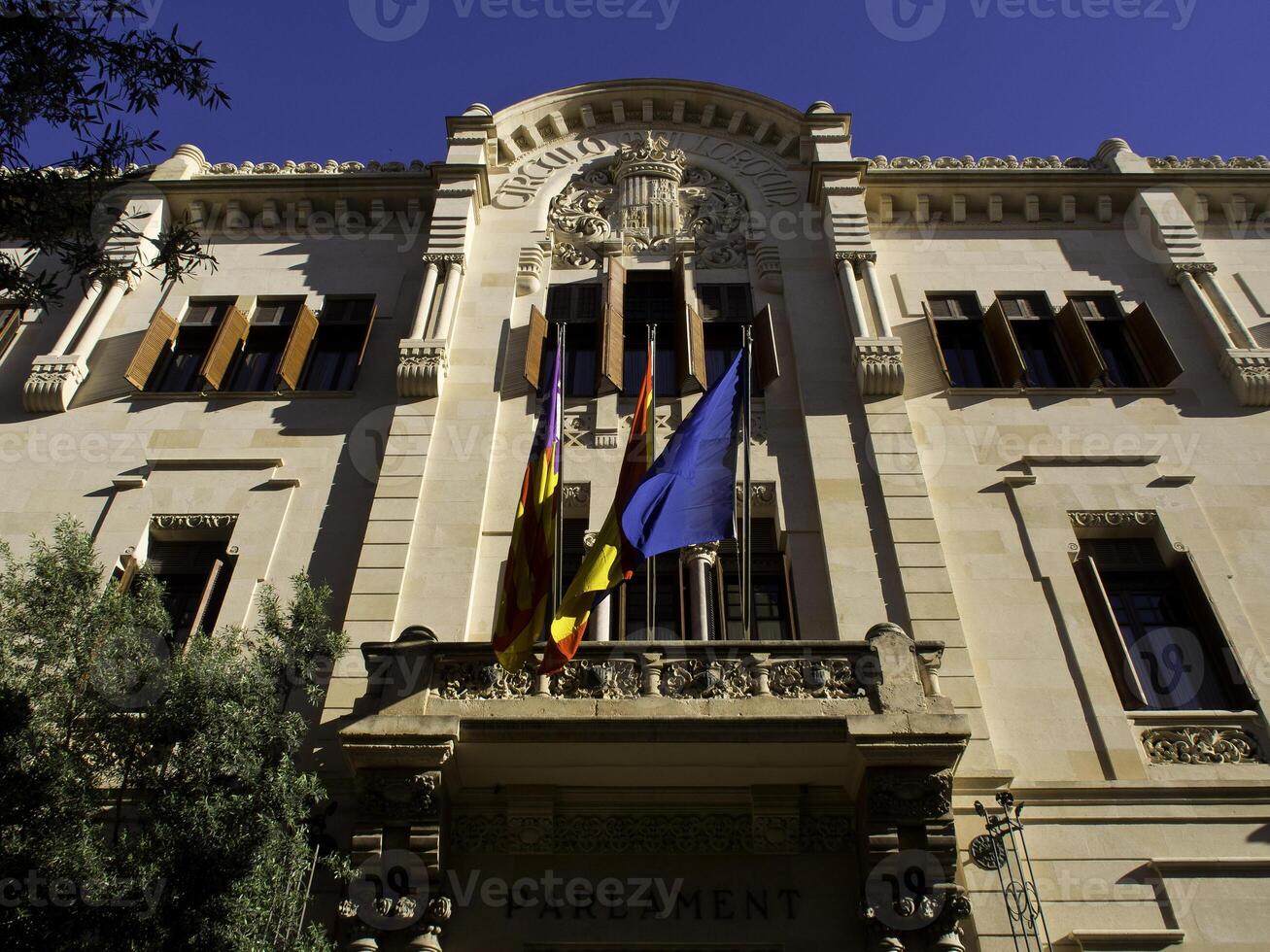 palma de maloraca foto