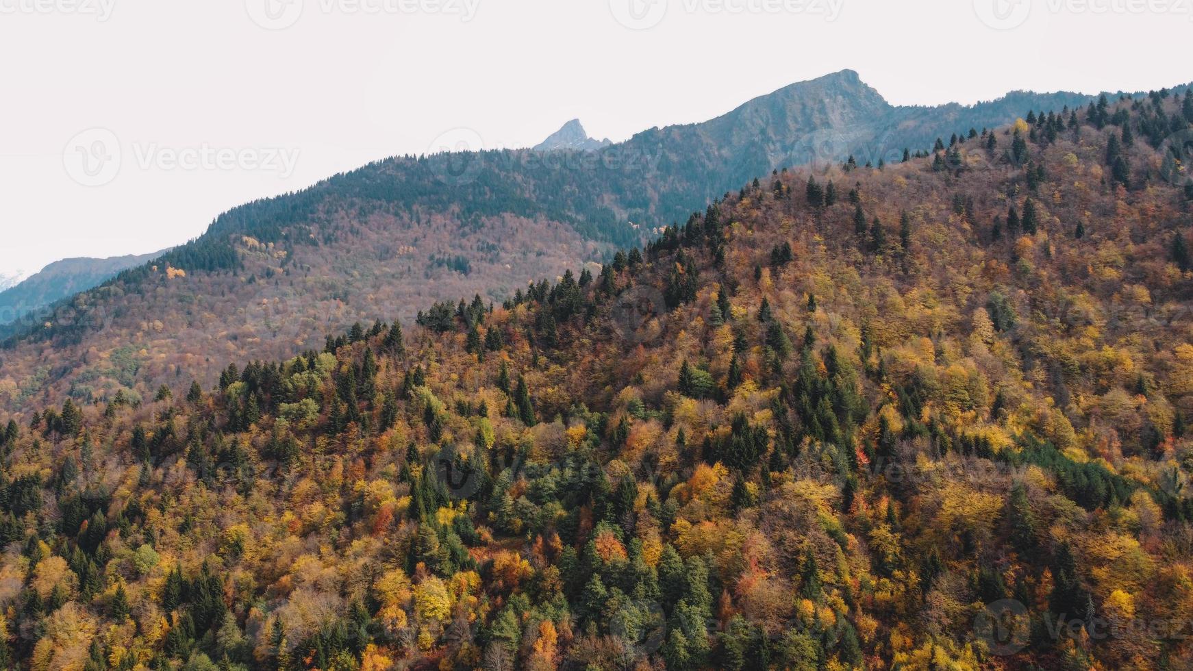 vista aérea de paisagem colorida de outono foto