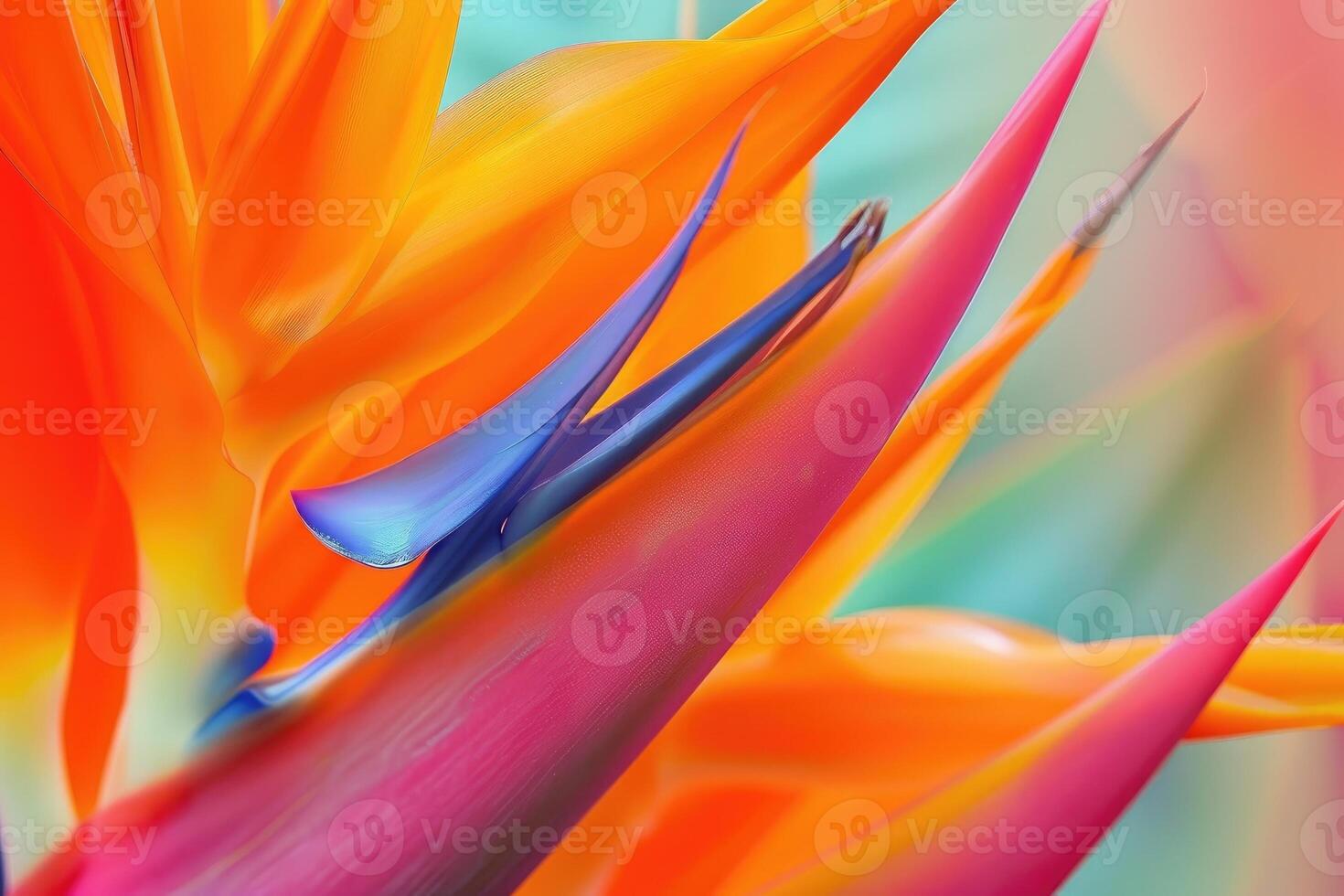 ai gerado heliconia flor estrelitícia reginae Além disso conhecido Como pássaro do paraíso flor. foto