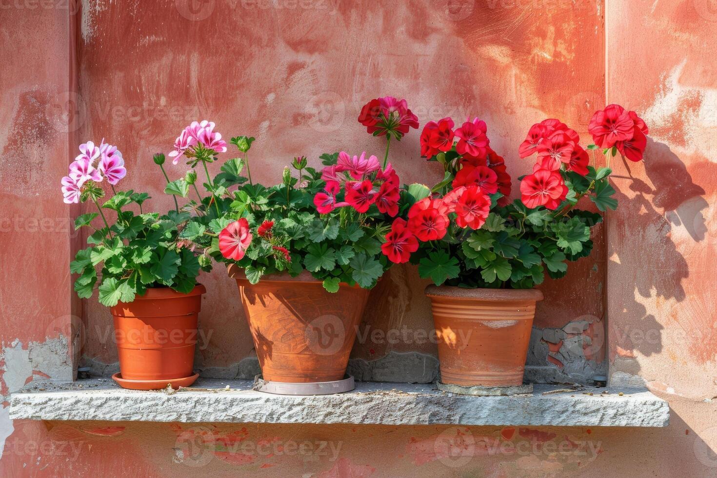 ai gerado pelargônio e gerânios dentro flor panelas em a peitoril da janela do uma rural casa lado de fora contra uma cor terracota muro. foto