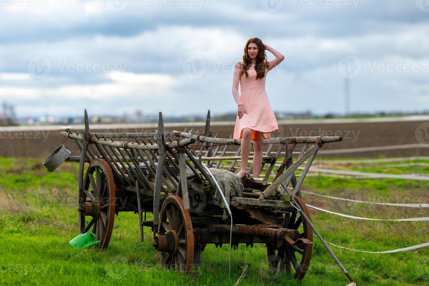 uma jovem agricultores esposa dentro uma Rosa vestir carrinhos em uma cavalo reboque foto