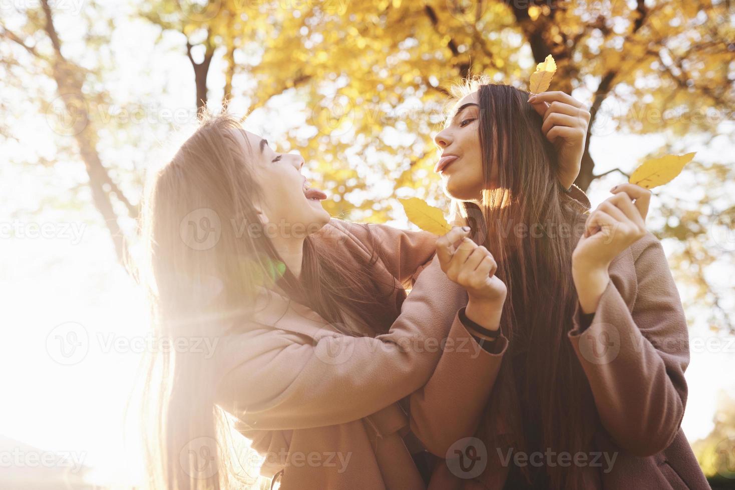 Perfil lateral de gêmeas jovens, bonitas e morenas fazendo caretas engraçadas, mostrando a língua e brincando com folhas, enquanto usavam um casaco casual e estavam de pé no parque ensolarado de outono em fundo desfocado foto