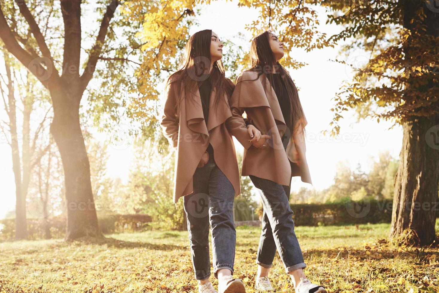 vista de perfil de lindas gêmeas morenas caminhando com as mãos nos bolsos, perto uma da outra e olhando para um lado juntas no parque ensolarado de outono em fundo desfocado foto