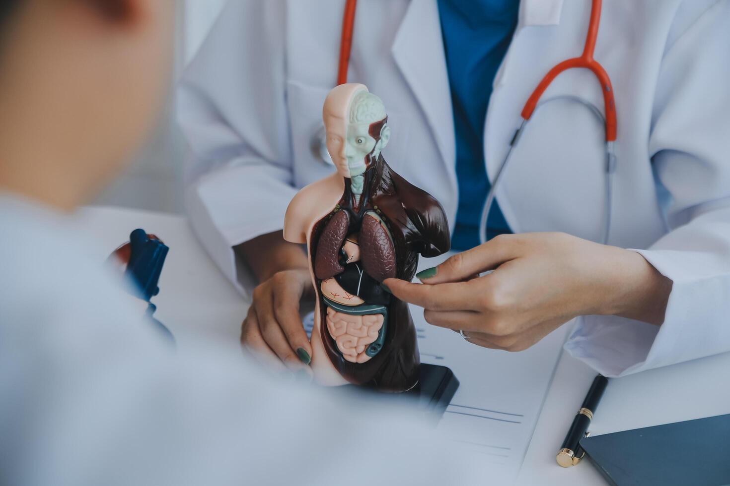 médico explicando coração para idosos paciente. médico explicando a coração modelo. médicos caneta ponto para uma modelo do a coração foto