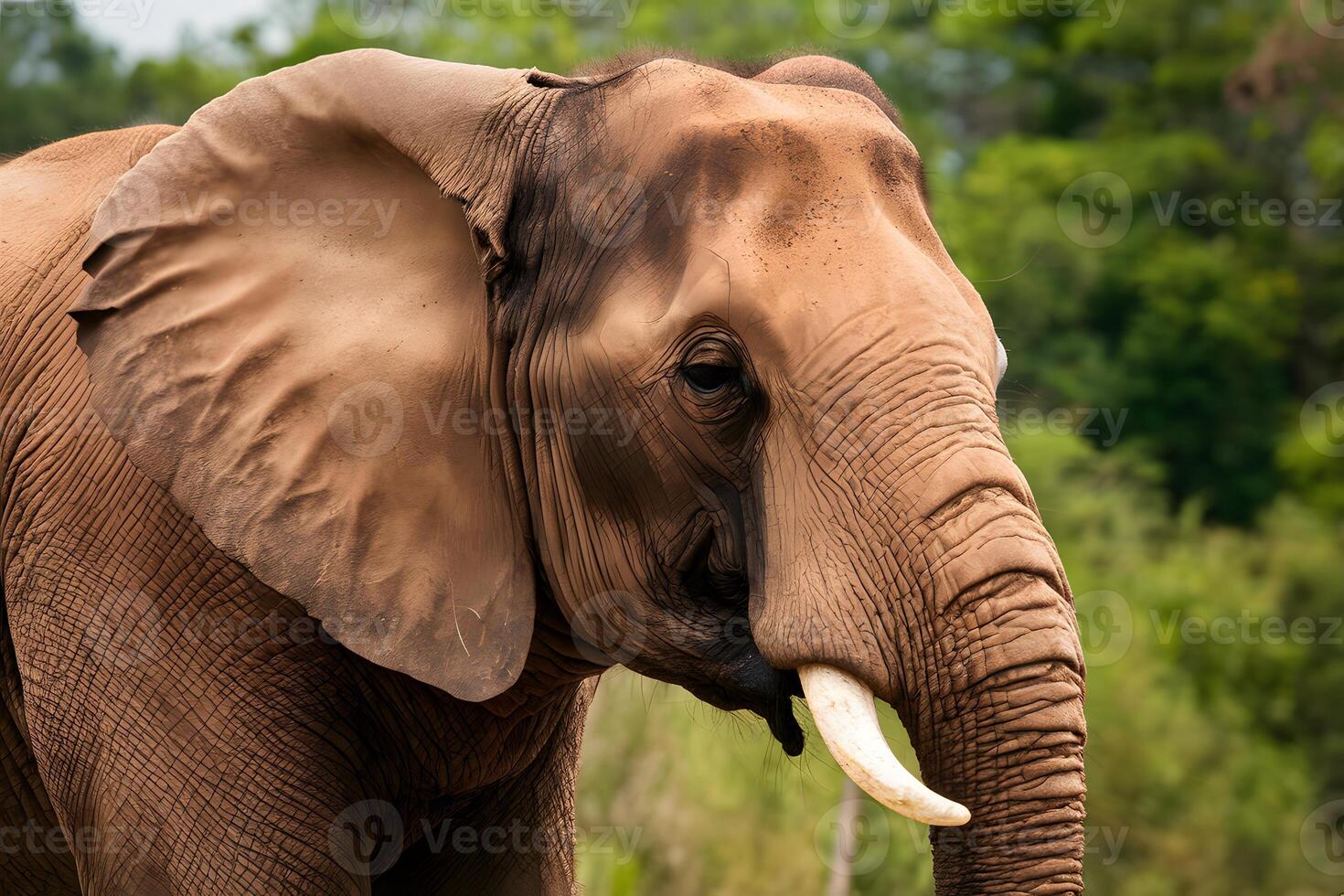 ai gerado íntimo fechar acima revela a majestoso beleza do a elefante foto