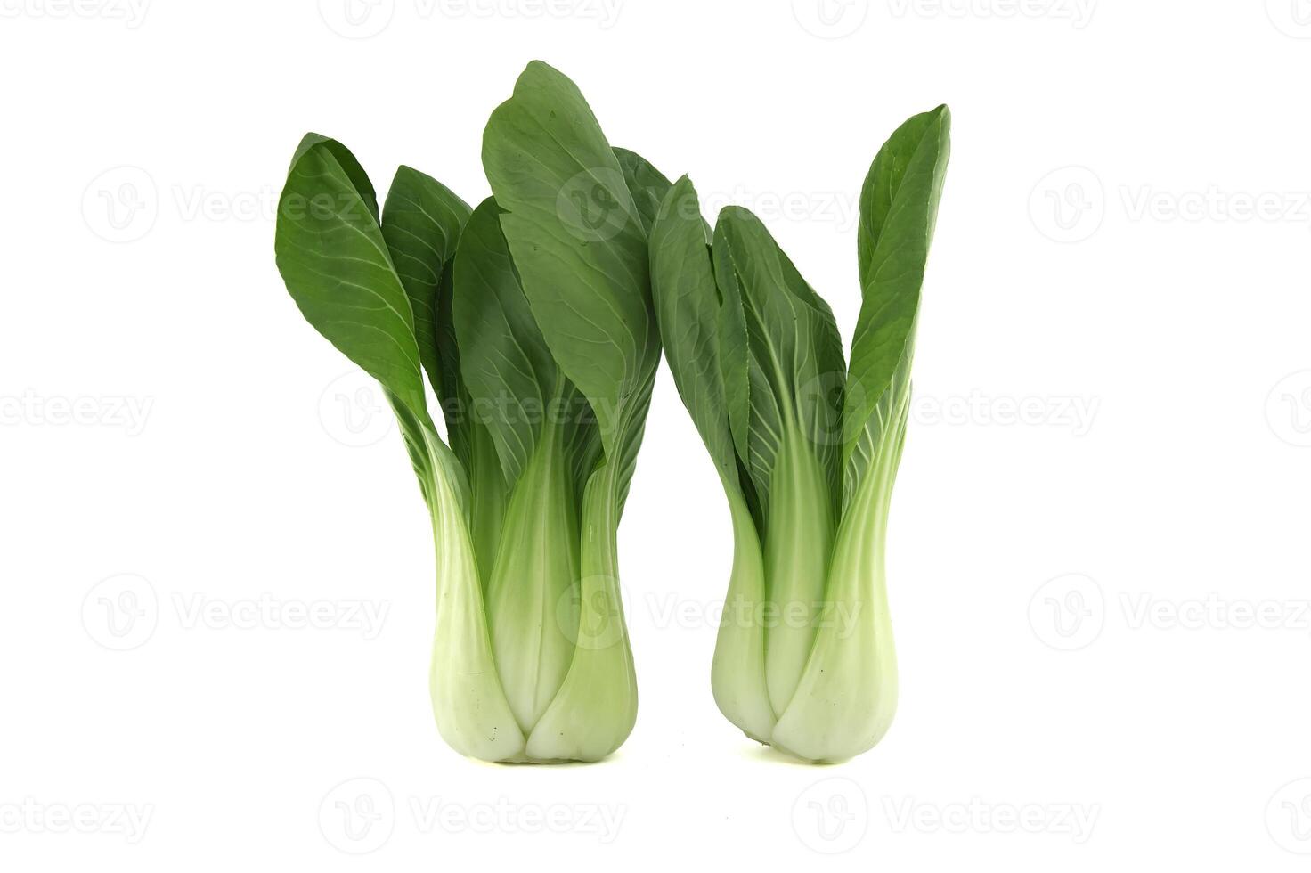 pok choi legumes arranjado em branco fundo foto
