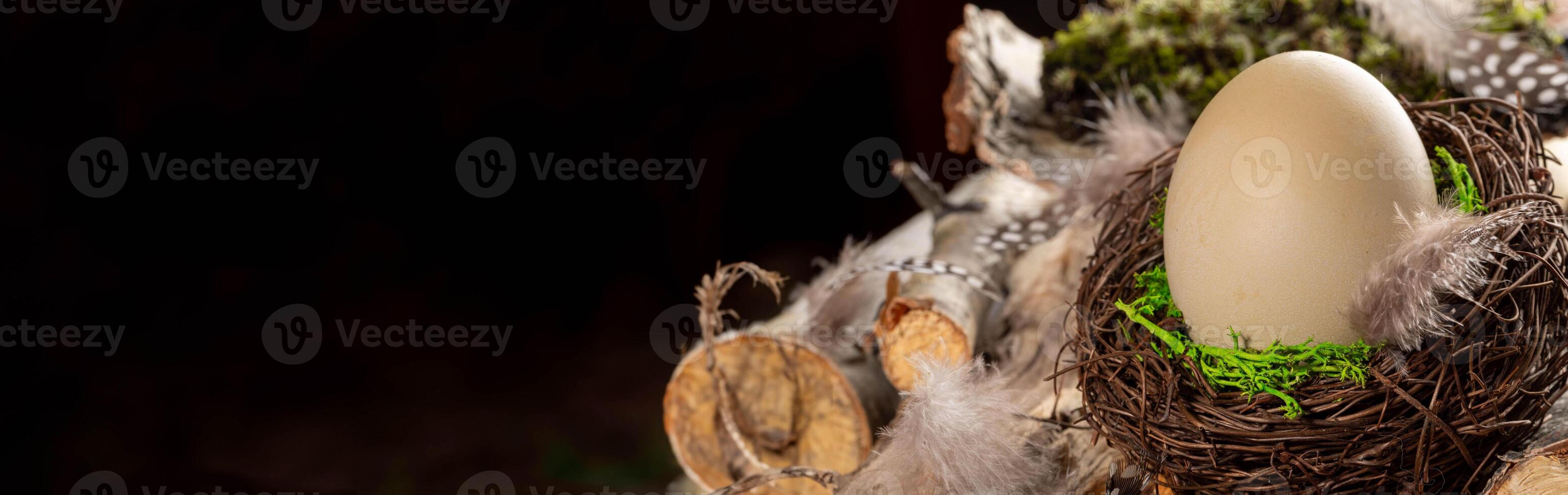 Páscoa natural bandeira. bege ovo dentro ninho em fundo do de madeira varinhas, musgo, penas e escuro. foto