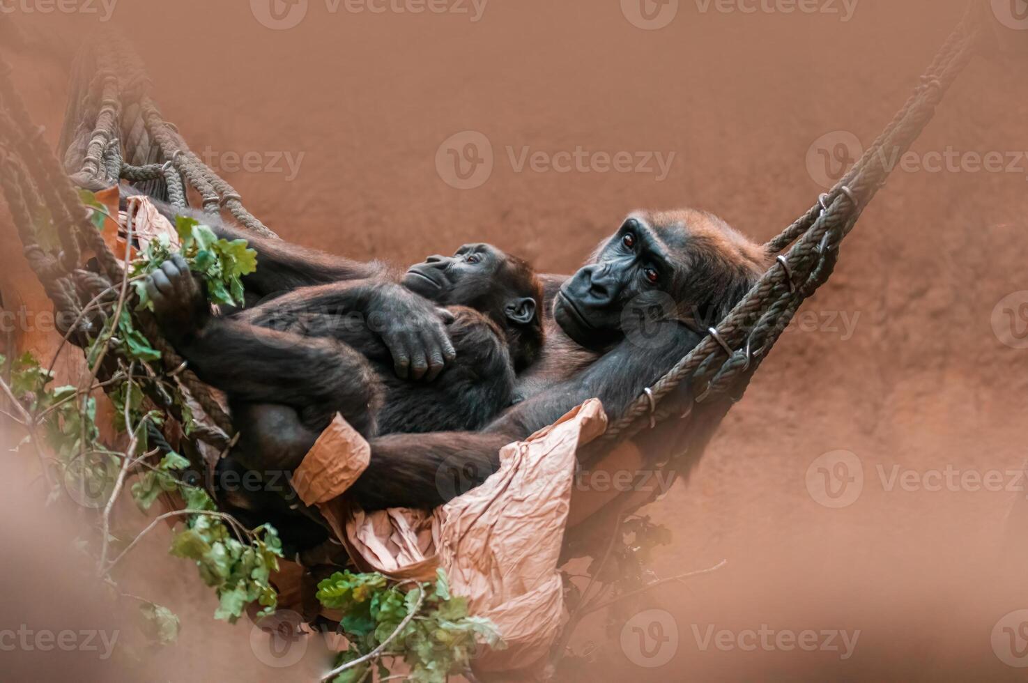 jovem gorila criança abraço com dele mãe foto